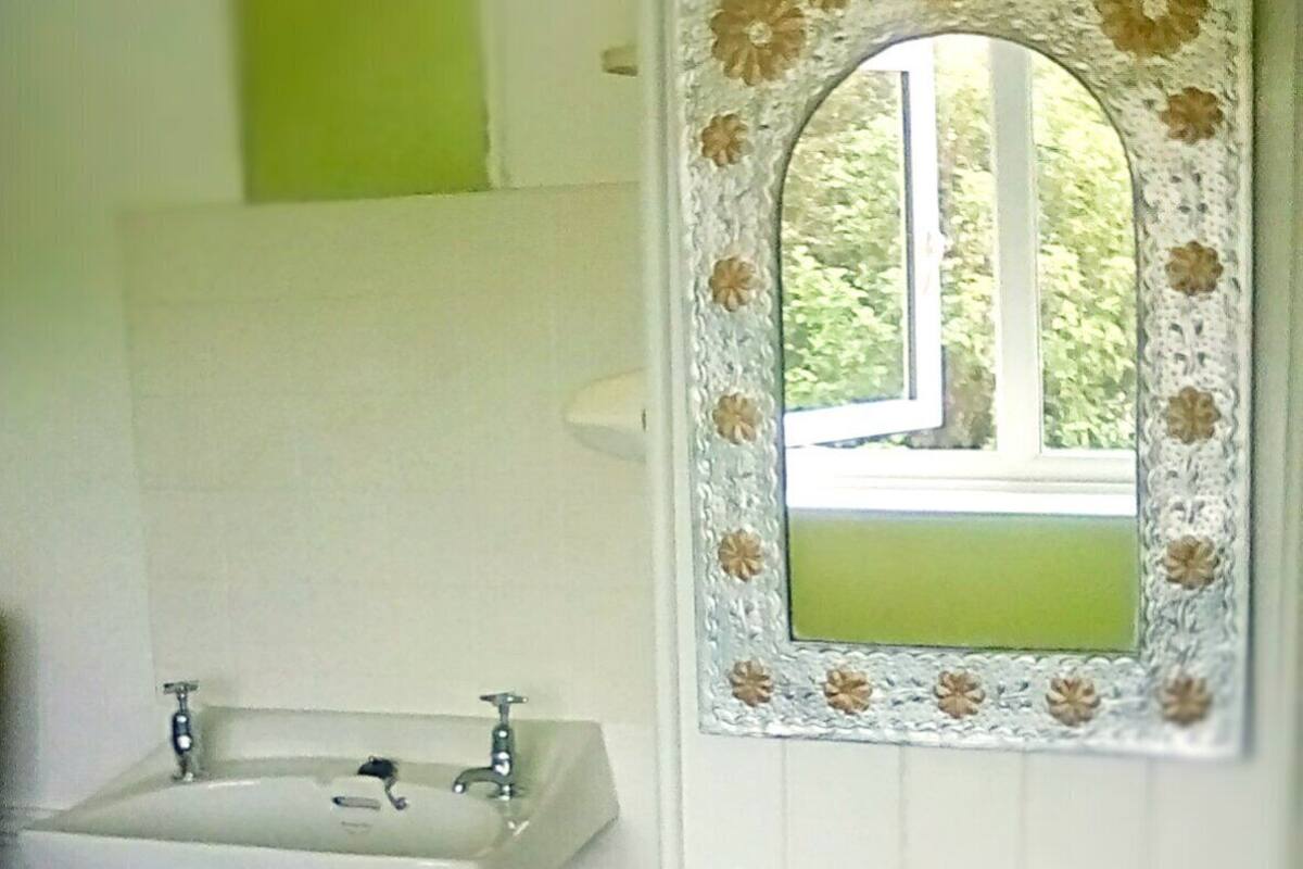 A bathroom with a white sink, a mirror with a floral frame, and a window with a view of greenery.
