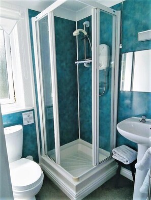 A corner bathroom with a glass-enclosed shower, a white toilet, and a sink with a towel. - Gallen-treath Guest House (Helston)