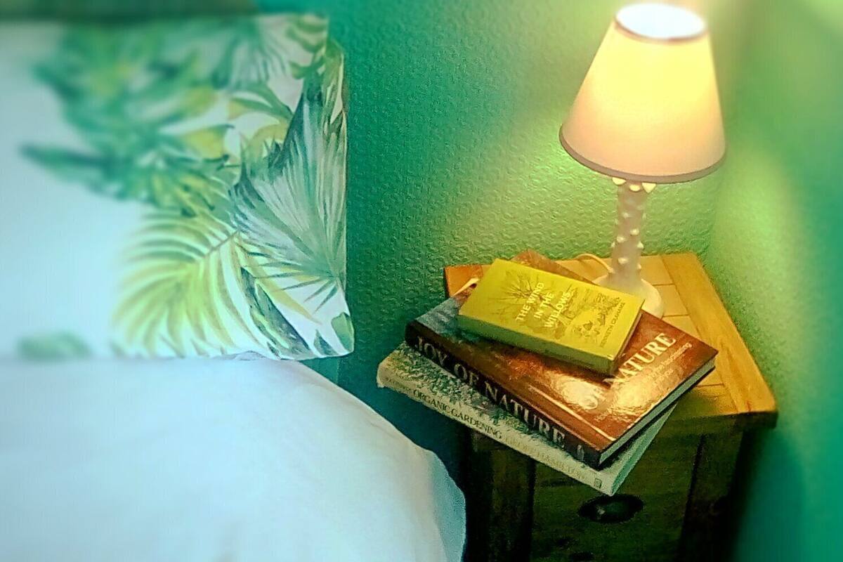 A bedside table with a lamp, a book titled "The Wind in the Willows," and a decorative plant.