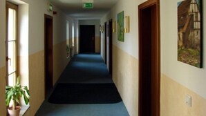 Un long couloir étroit, avec des portes des deux côtés, un tapis bleu et un pot de fleurs sur la gauche.