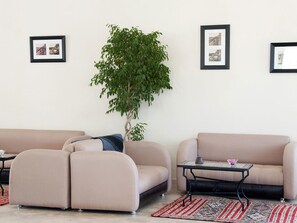 Un salon moderne avec deux canapés, une table basse, une plante en pot et des tableaux encadrés accrochés au mur.