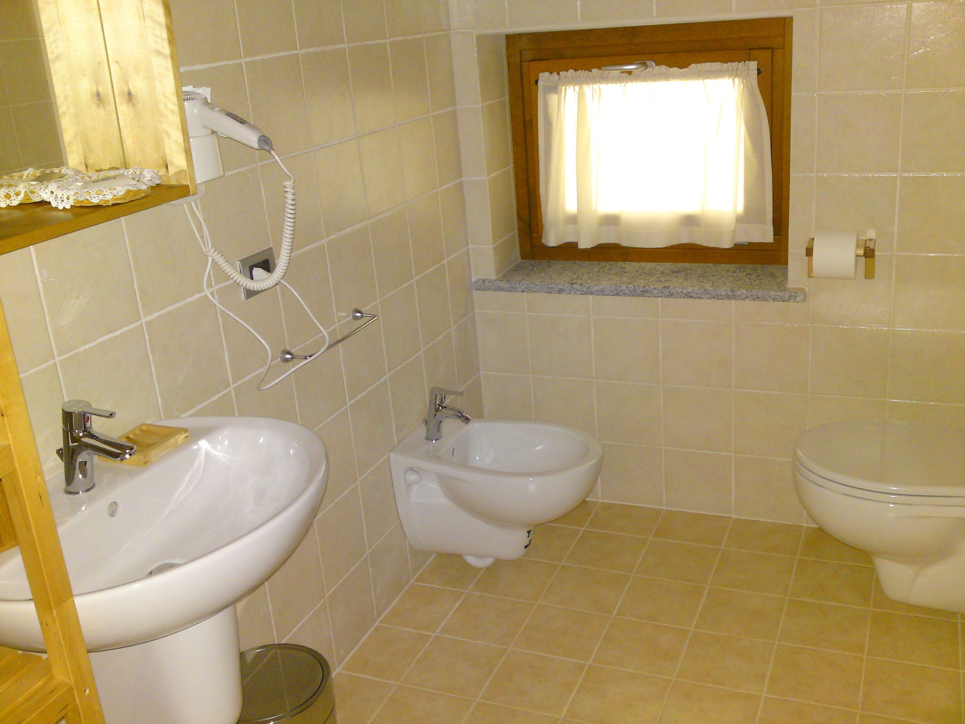 shower, free toiletries, hair dryer, bidet