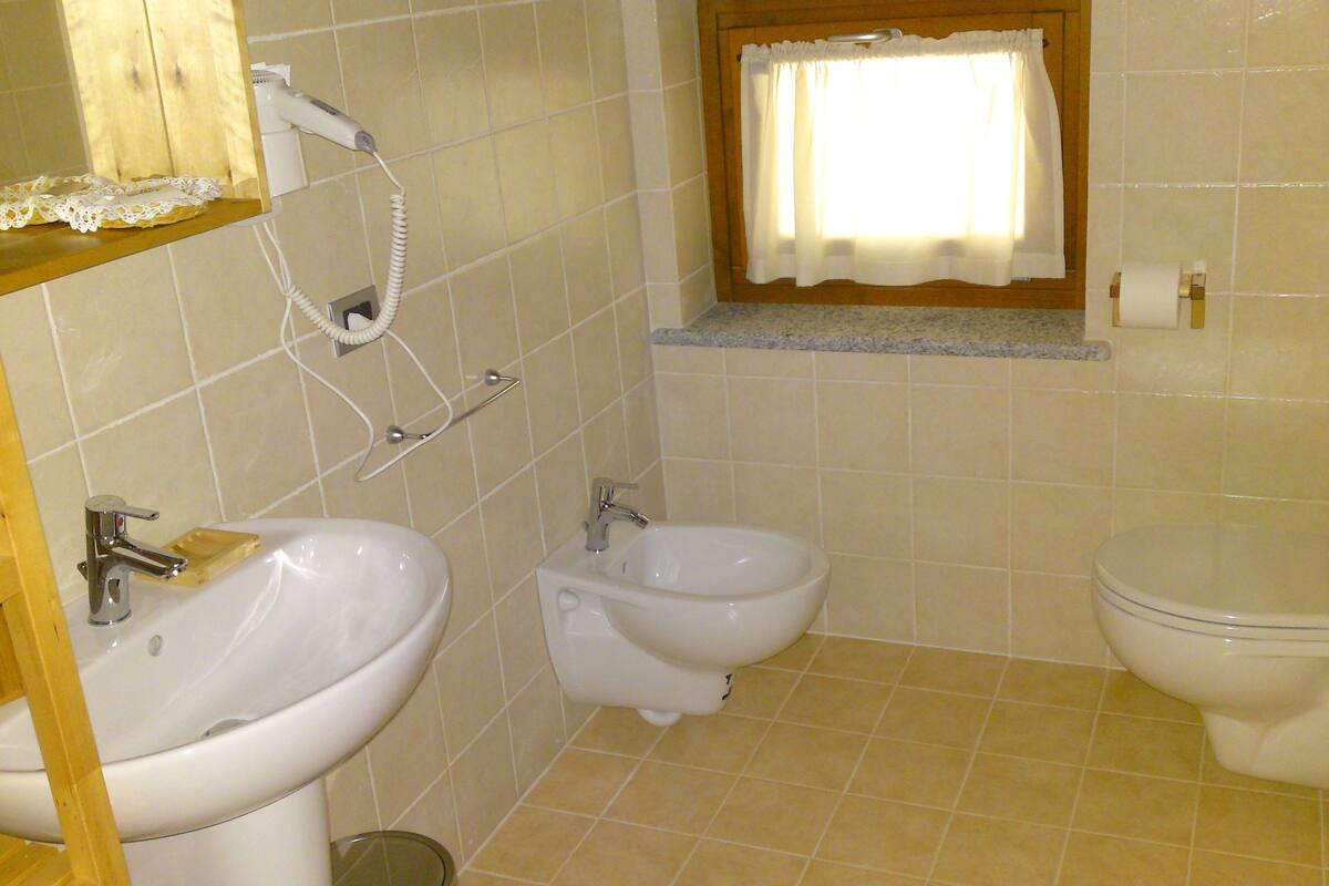 shower, free toiletries, hair dryer, bidet