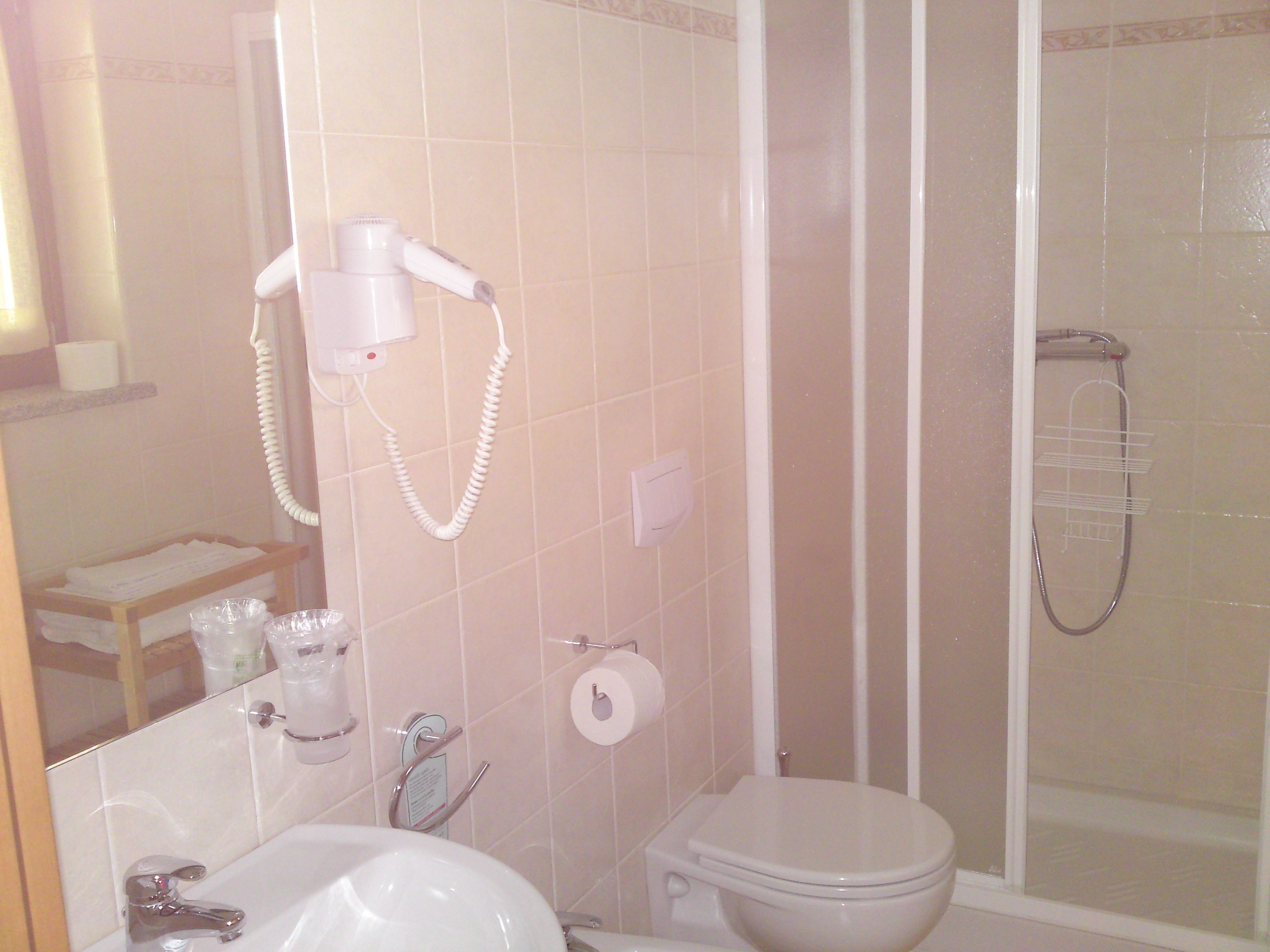 shower, free toiletries, hair dryer, bidet