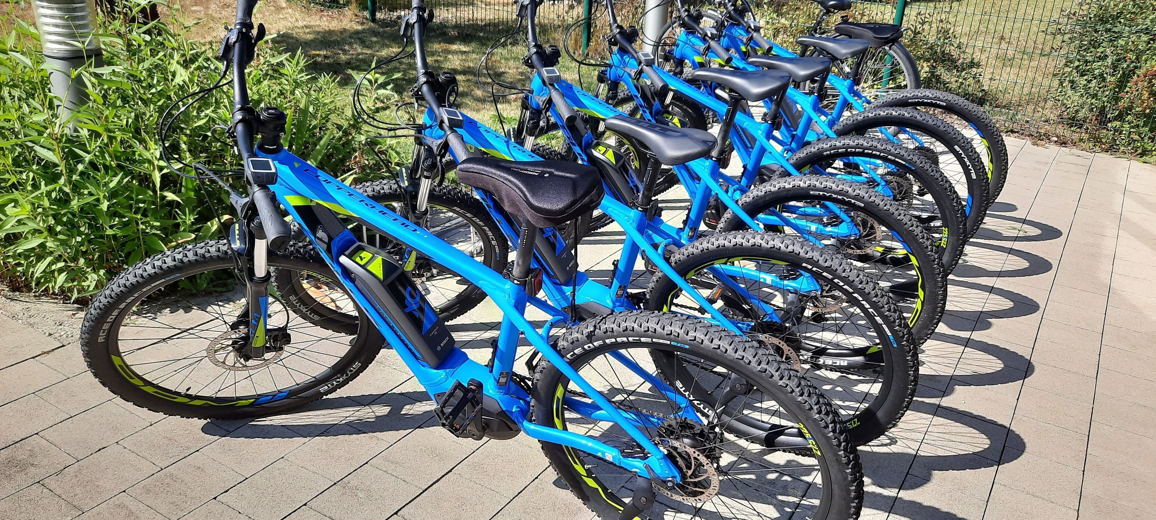 自転車