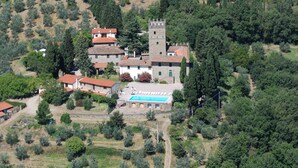 An aerial view of a historic estate with a central tower, a swimming pool, and surrounding olive groves. - Castello di Pratelli (Figline e Incisa Valdarno)