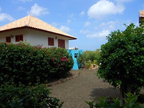 Terrein van de accommodatie