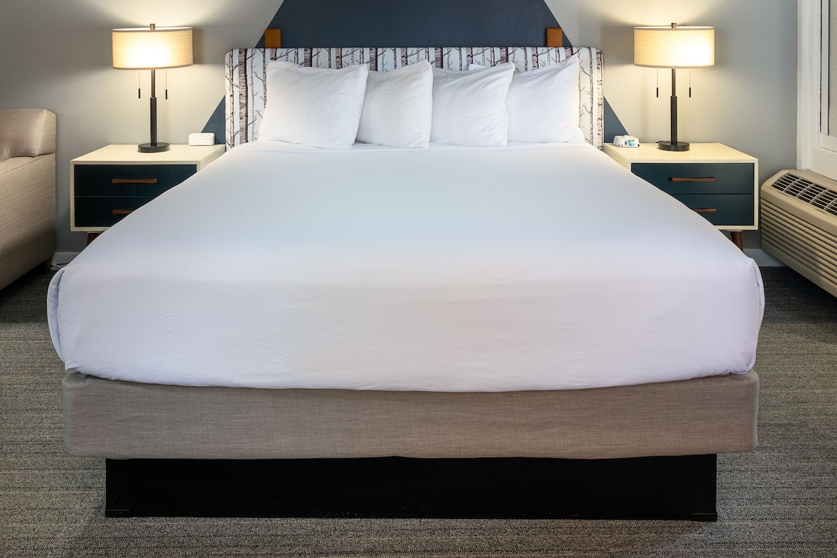 A large bed with a dark headboard, two bedside tables with lamps, and a neutral color scheme.