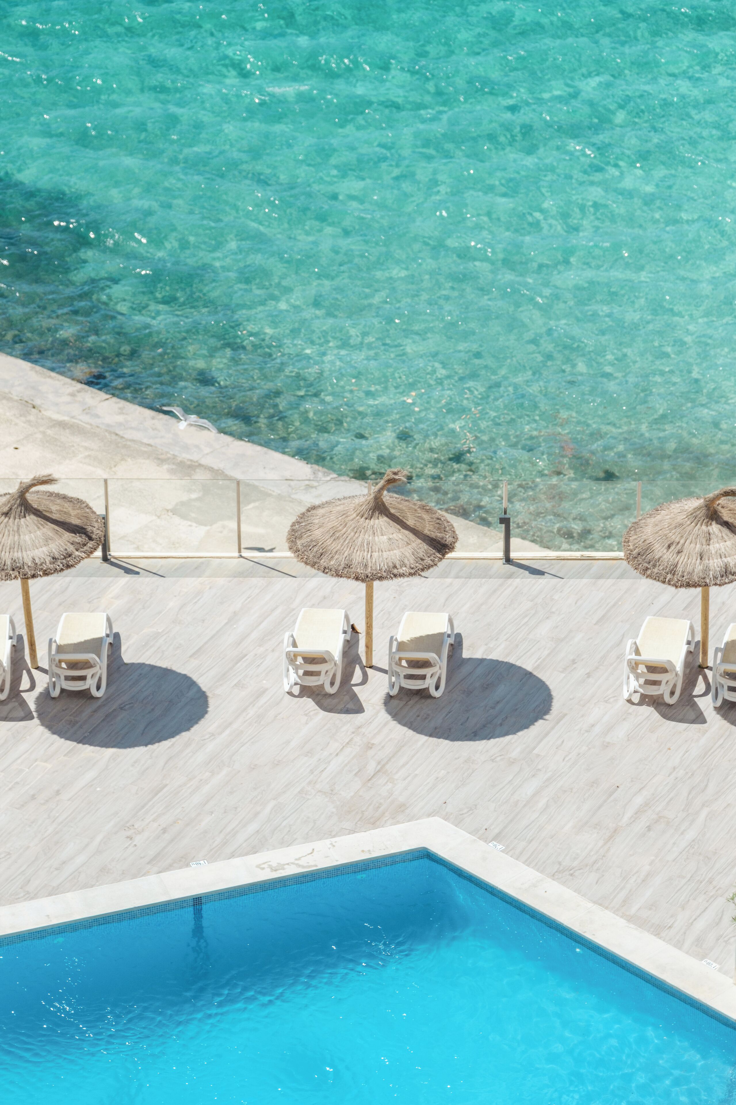 Foto - Bahia Principe Sunlight Coral Playa - Adults Only