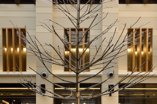 Petit déjeuner, déjeuner et dßner servis sur place