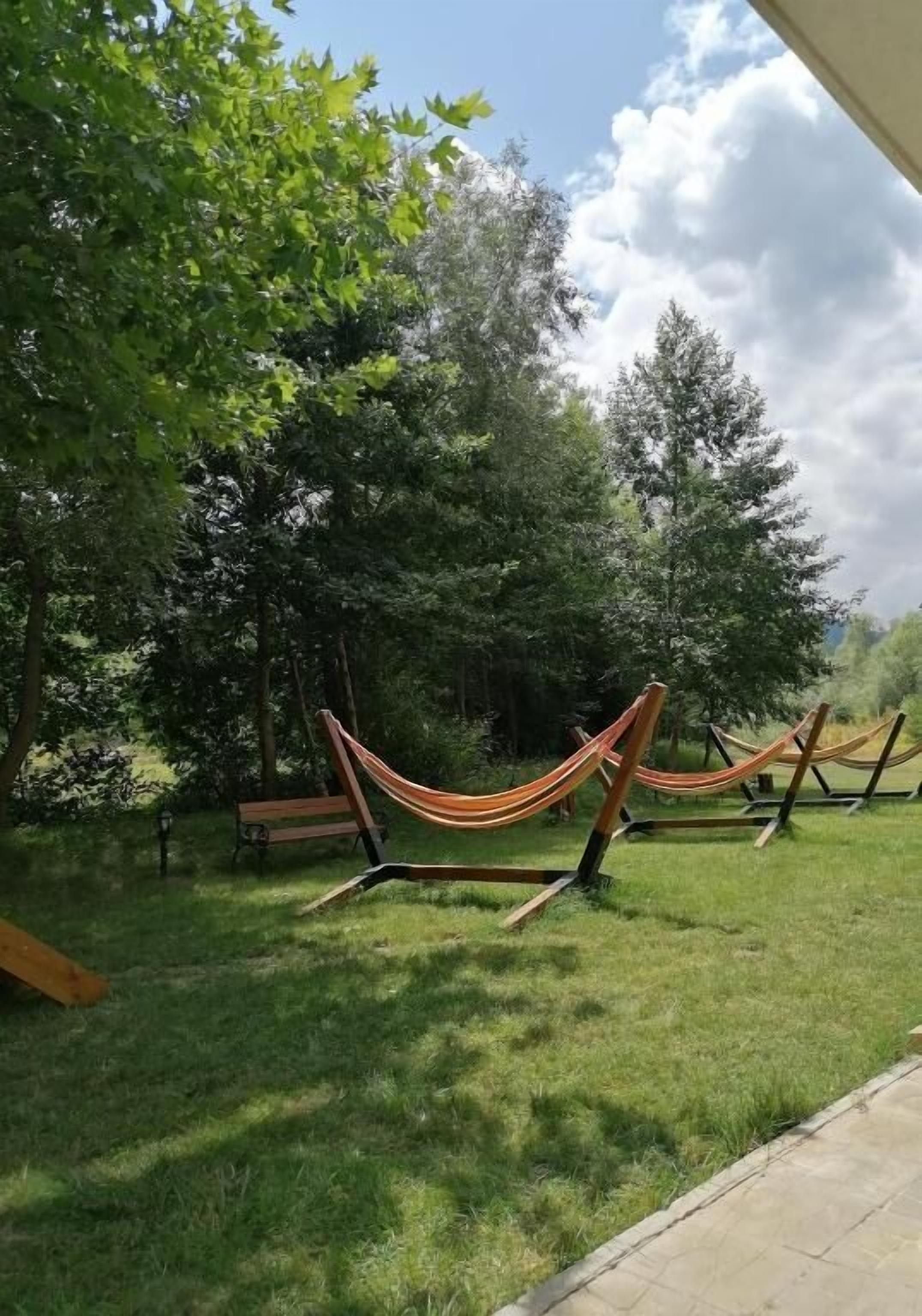 A hammock set up in a grassy area with trees in the background.