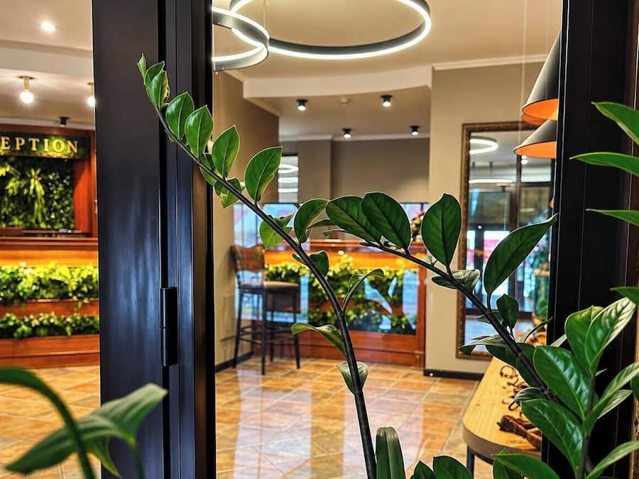 Recepción