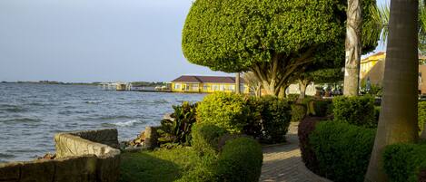 A landscaped pathway beside a body of water, with a well-maintained hedge and a palm tree.