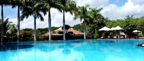 Piscine extérieure, parasols de plage, chaises longues