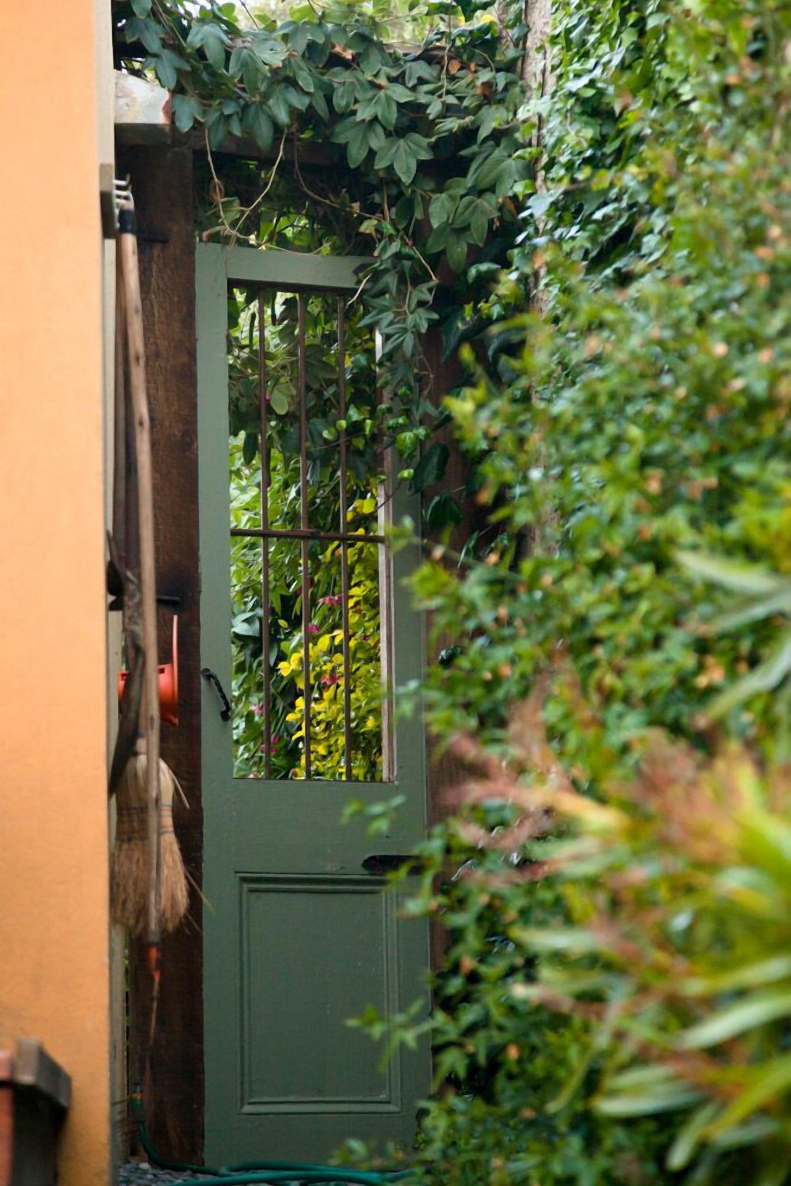Una puerta verde con barrotes verticales, rodeada de abundante follaje.