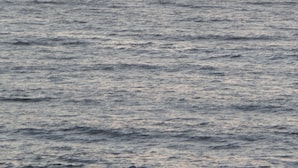 A view of the ocean with a sunset in the background. - Cinque Colori (Algarrobo)