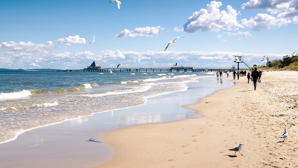 A beach with a pier extending into the water, people walking along the shore, and seagulls flying overhead.