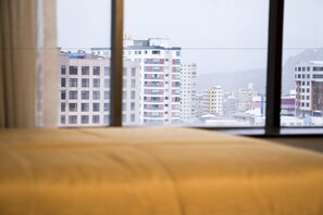 City view - Panamerican Hotel (La Paz)