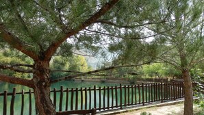 A wooden bench by a calm lake, surrounded by trees and a wooden fence. - Nana Apartments (Faistos)