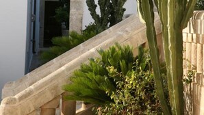 Une cour avec un grand cactus, une arche en pierre et un bâtiment blanc doté d’une porte en bois.