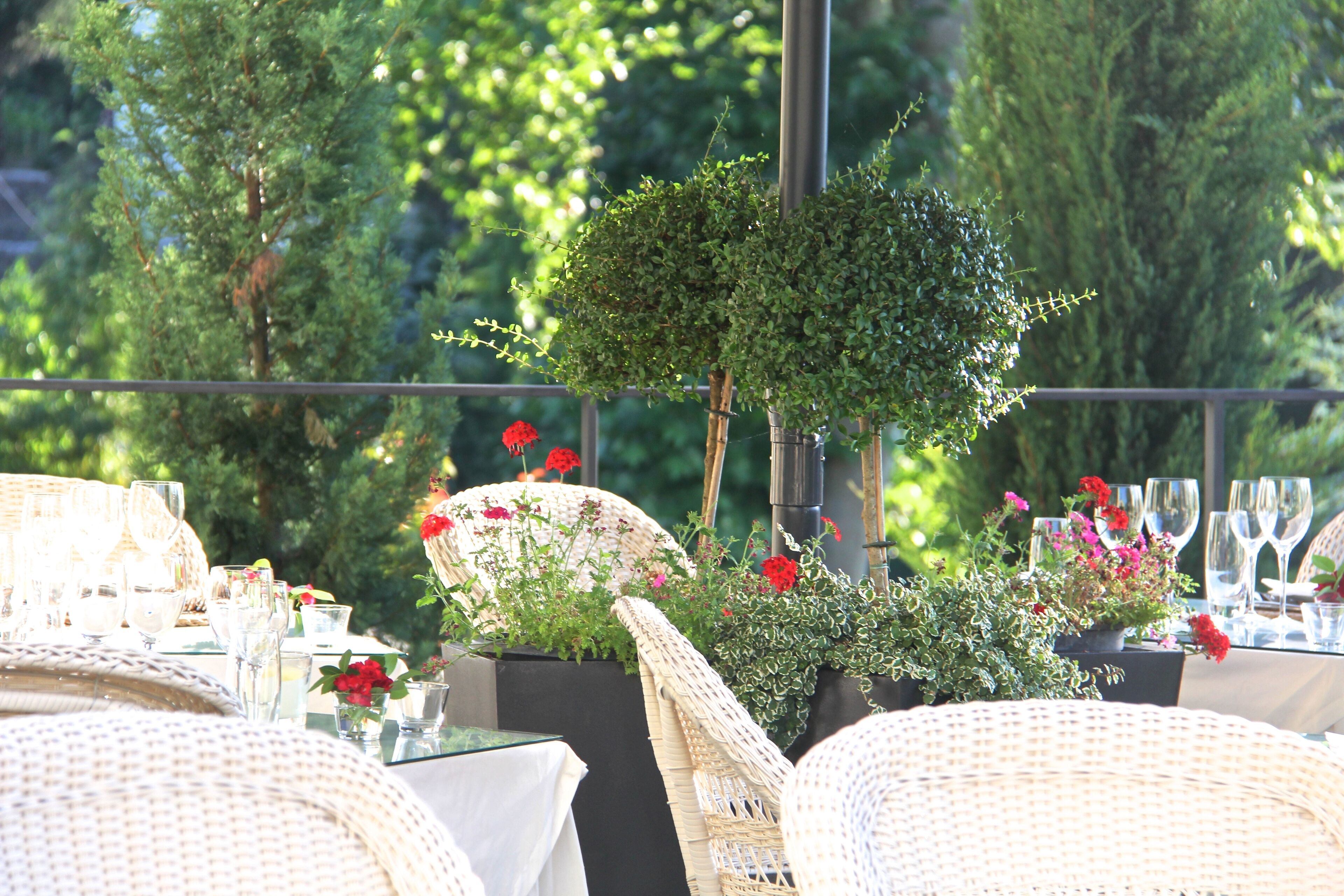 An outdoor dining area with wicker chairs and tables set for a meal, surrounded by greenery and flowers.