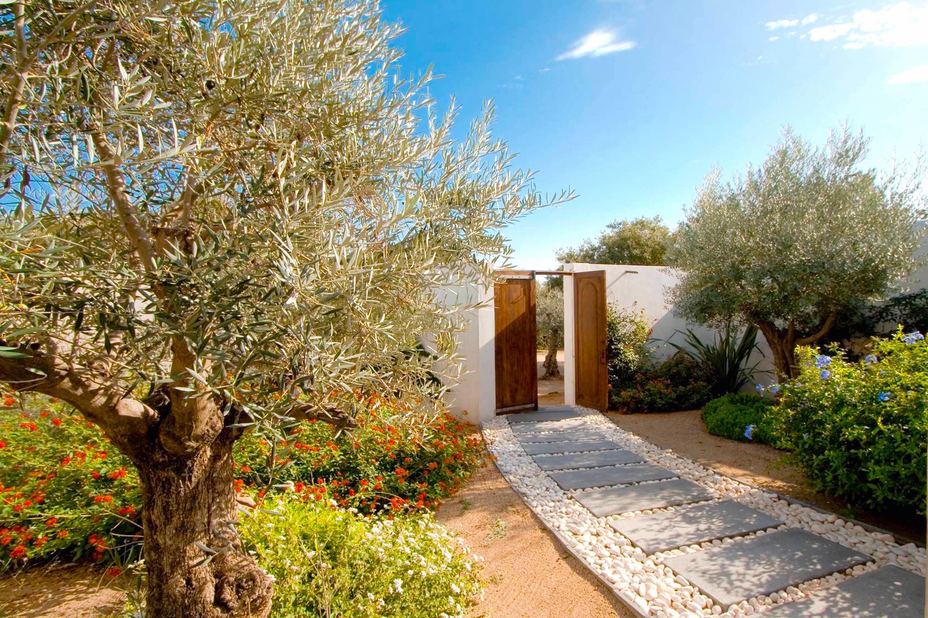 Premium Suite | Terrace/patio