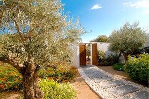 Suite Premium | Terraza o patio