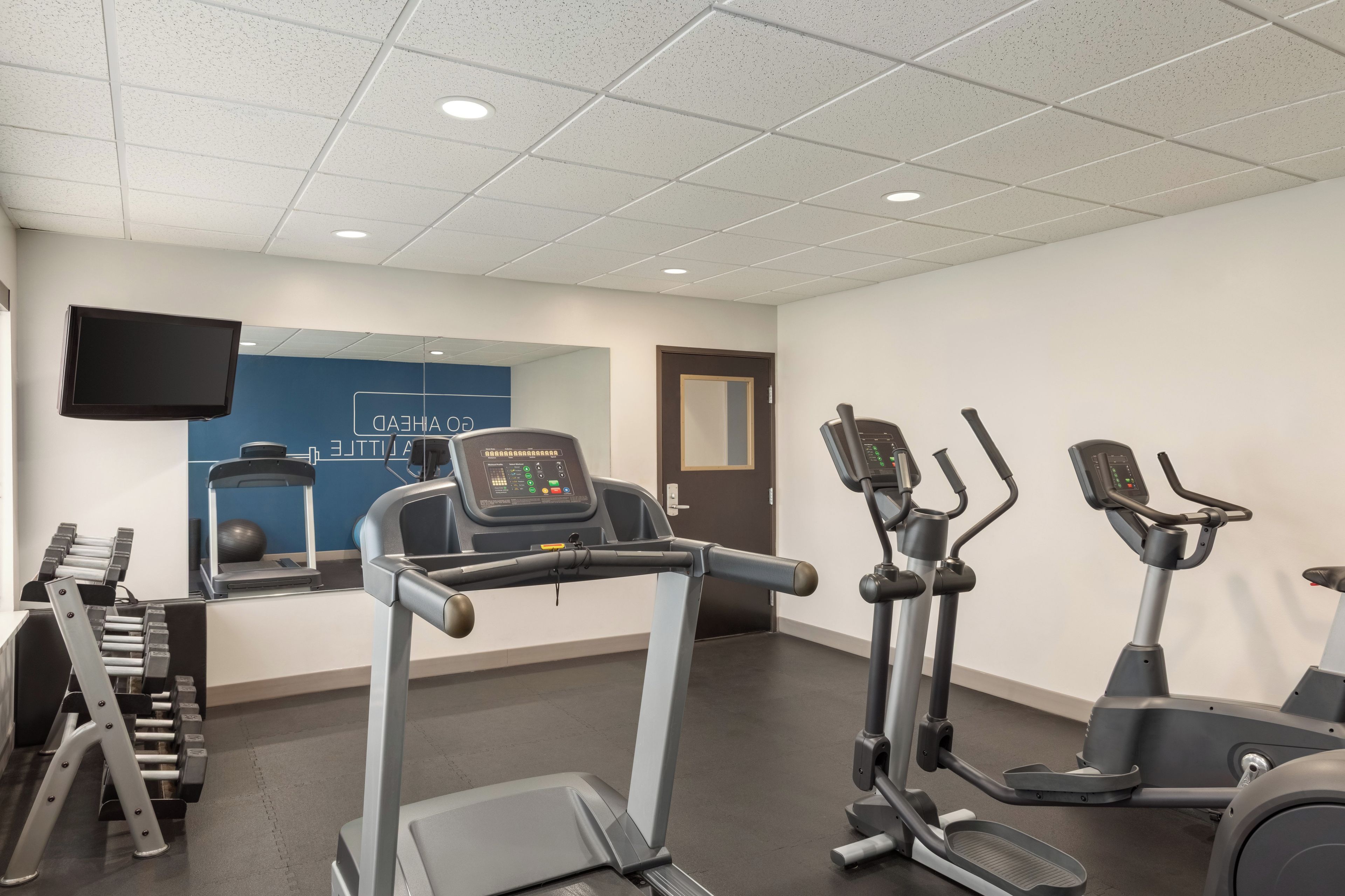 A gym with treadmills, elliptical machines, and free weights.