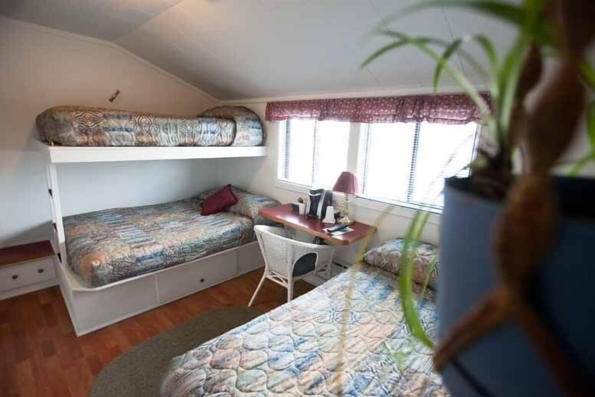 Une chambre de dortoir avec des lits superposés, un bureau, une chaise et une fenêtre avec des rideaux.