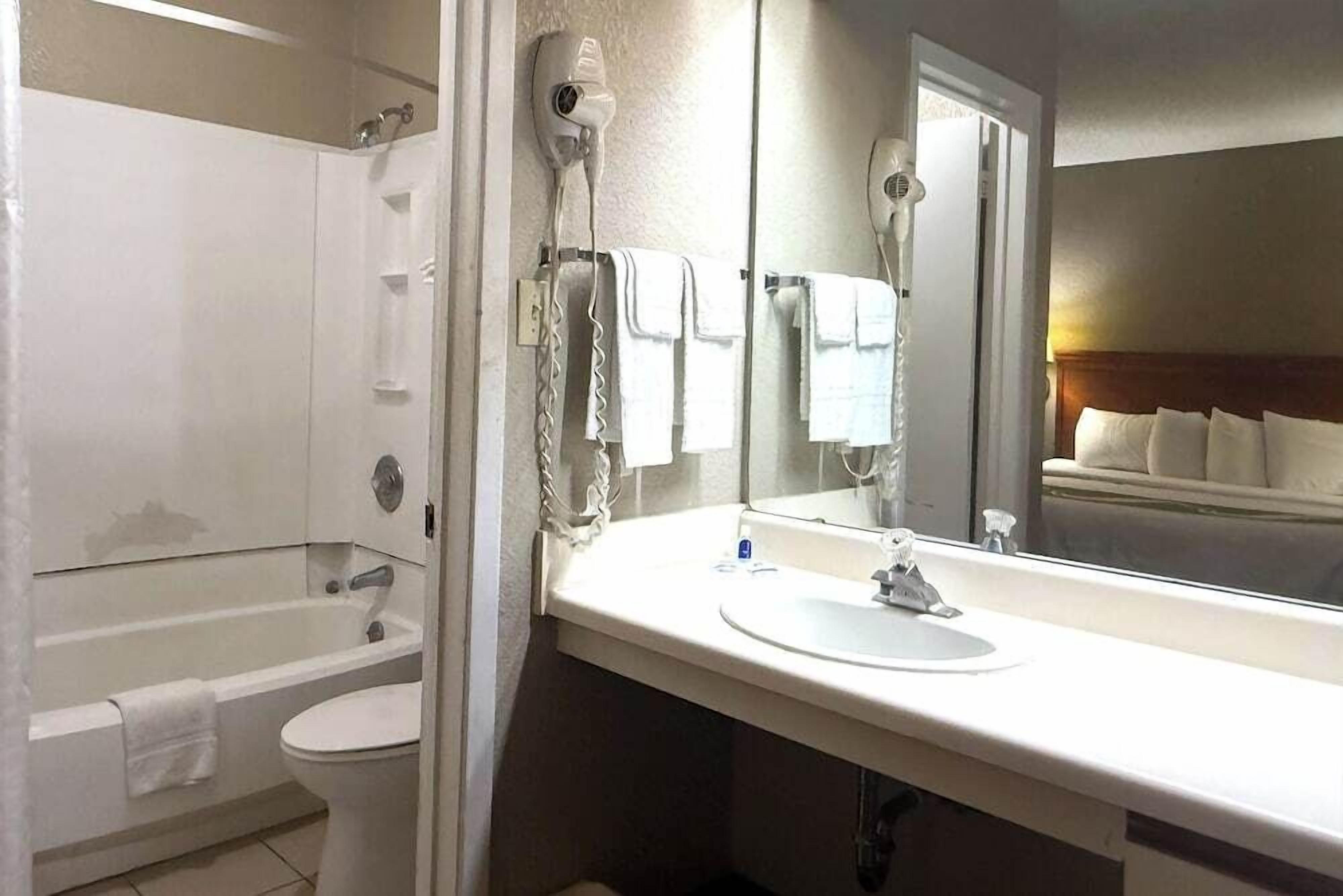 A bathroom with a bathtub, toilet, and a large mirror above the sink.