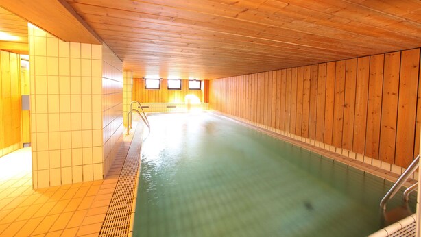 Una piscina interior con paredes de madera y suelo de baldosas.