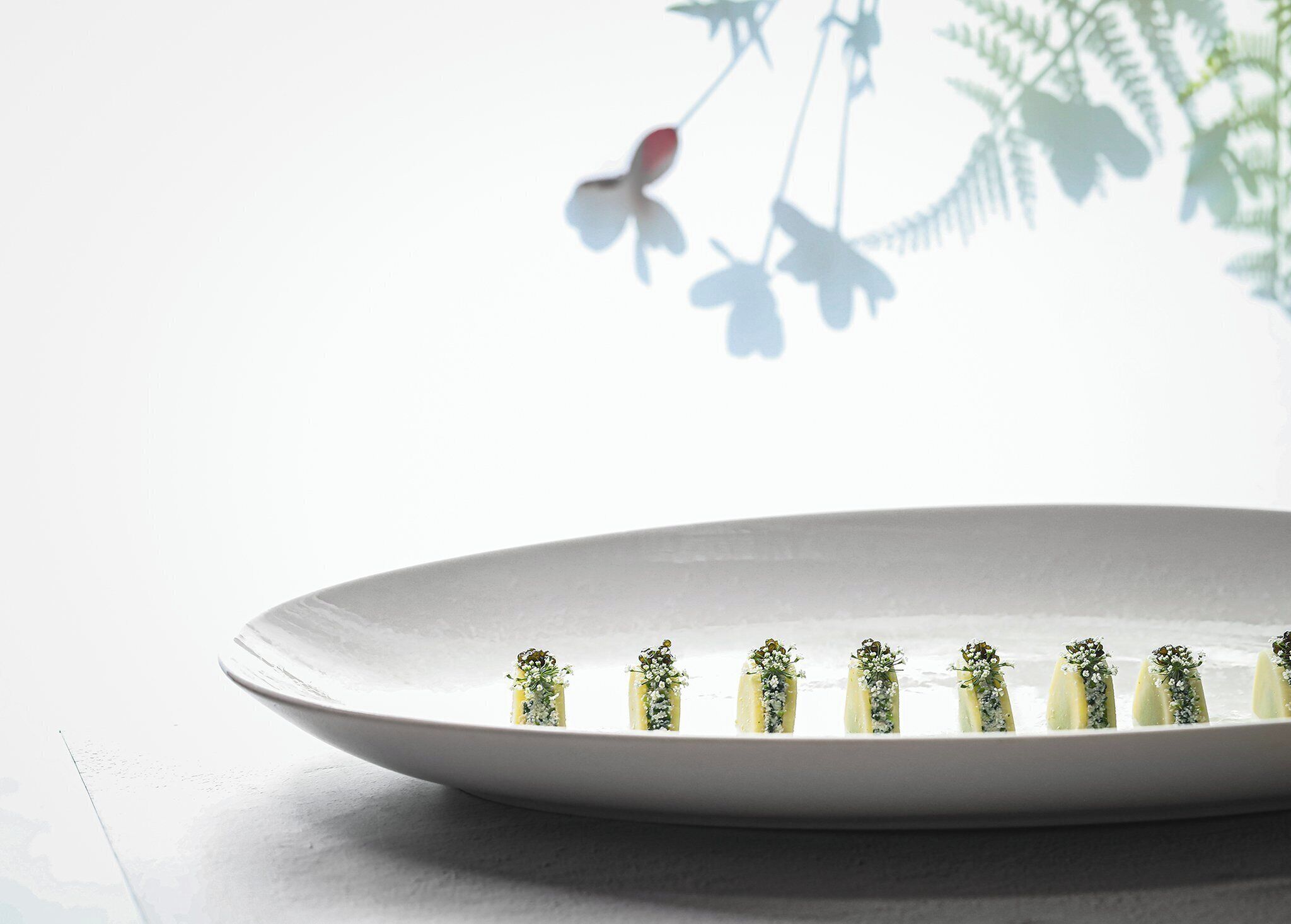 Une assiette blanche contenant de petites portions de nourriture, probablement des amuse-gueules, disposées en rangée.