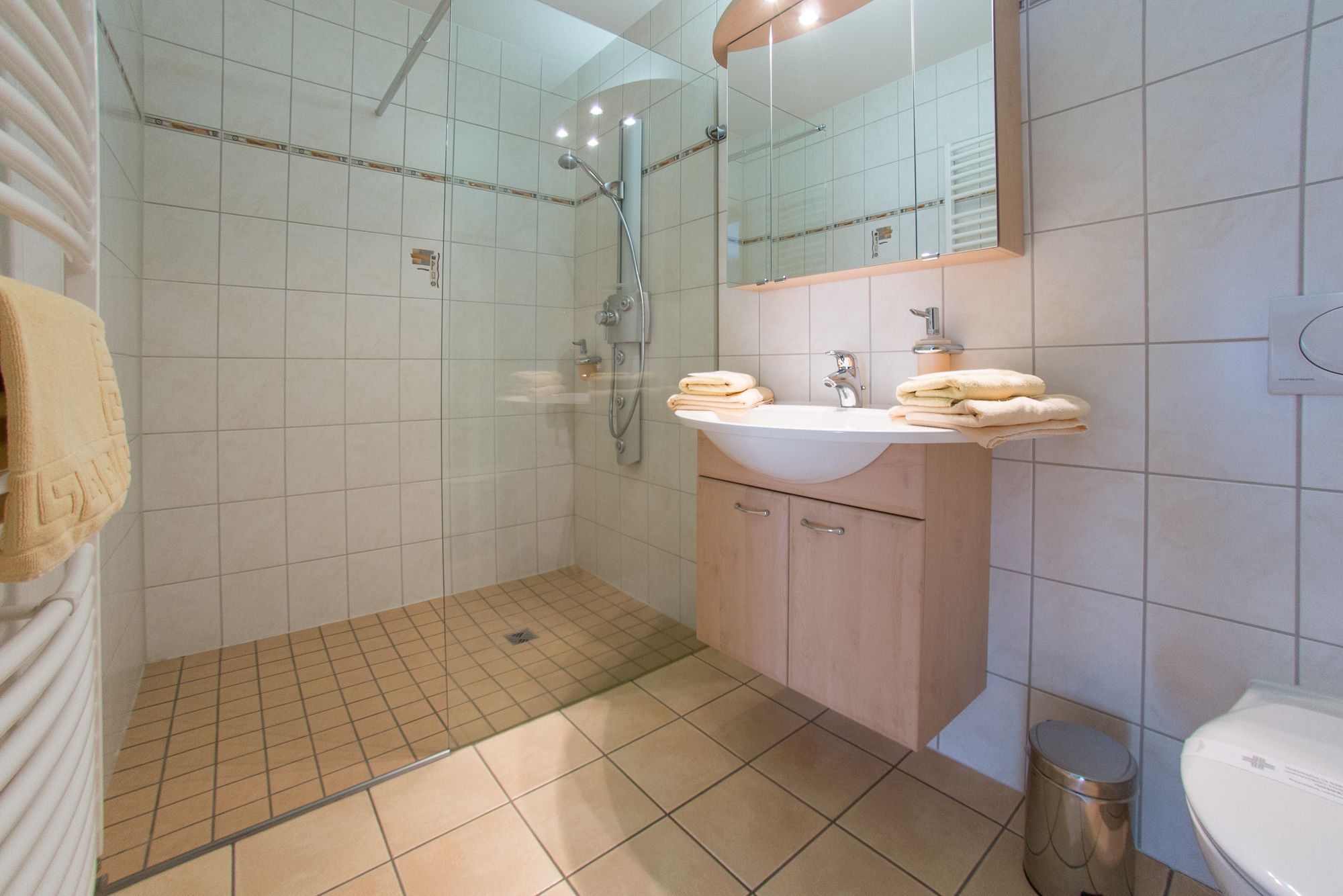 comfort double room, accessible, non smoking | bathroom | shower, hydromassage showerhead, free toiletries, hair dryer