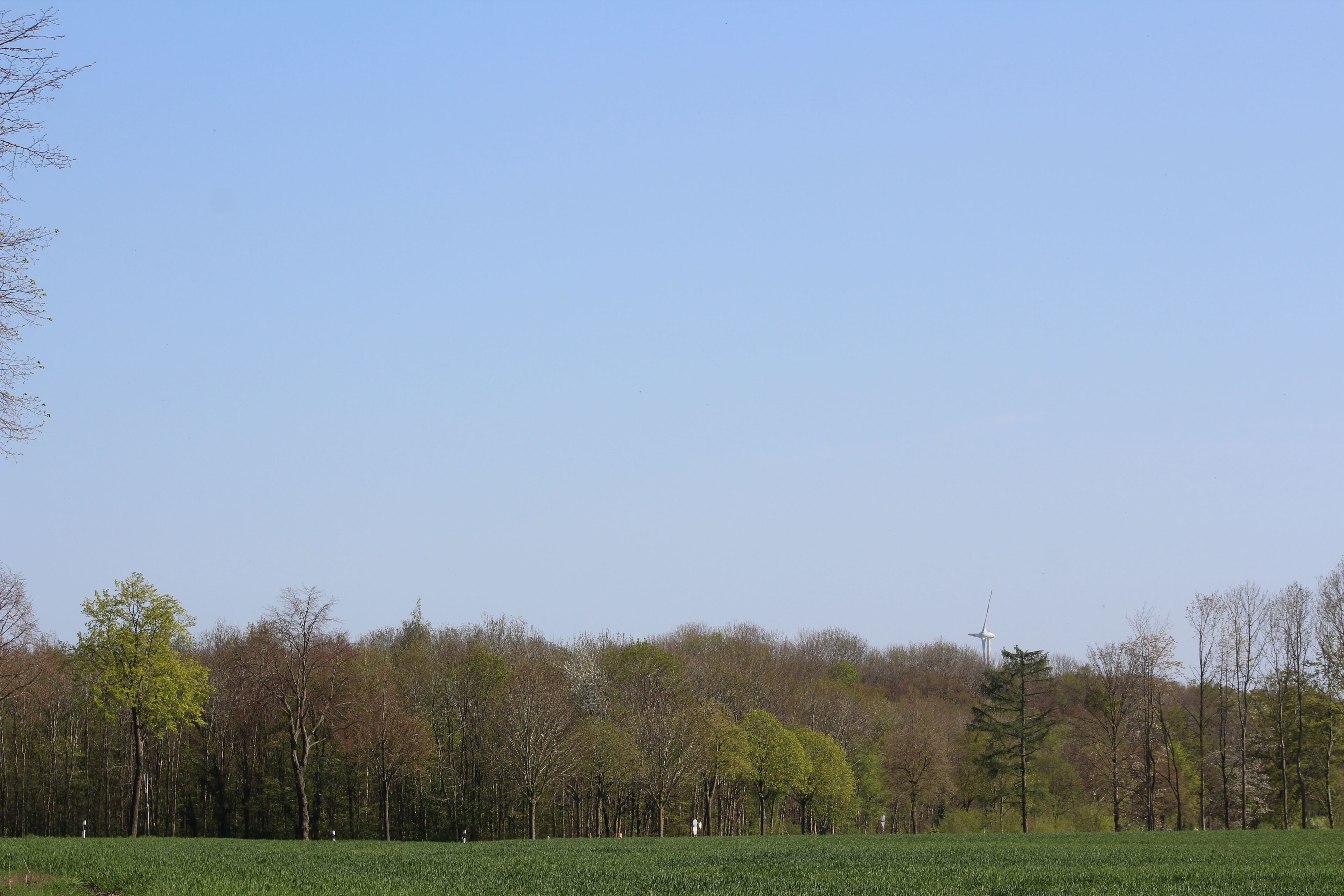 exclusive suite | view from room