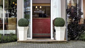 The exterior of Hotel Rensburguh with a reception area, two potted plants, and a clear view of the entrance.