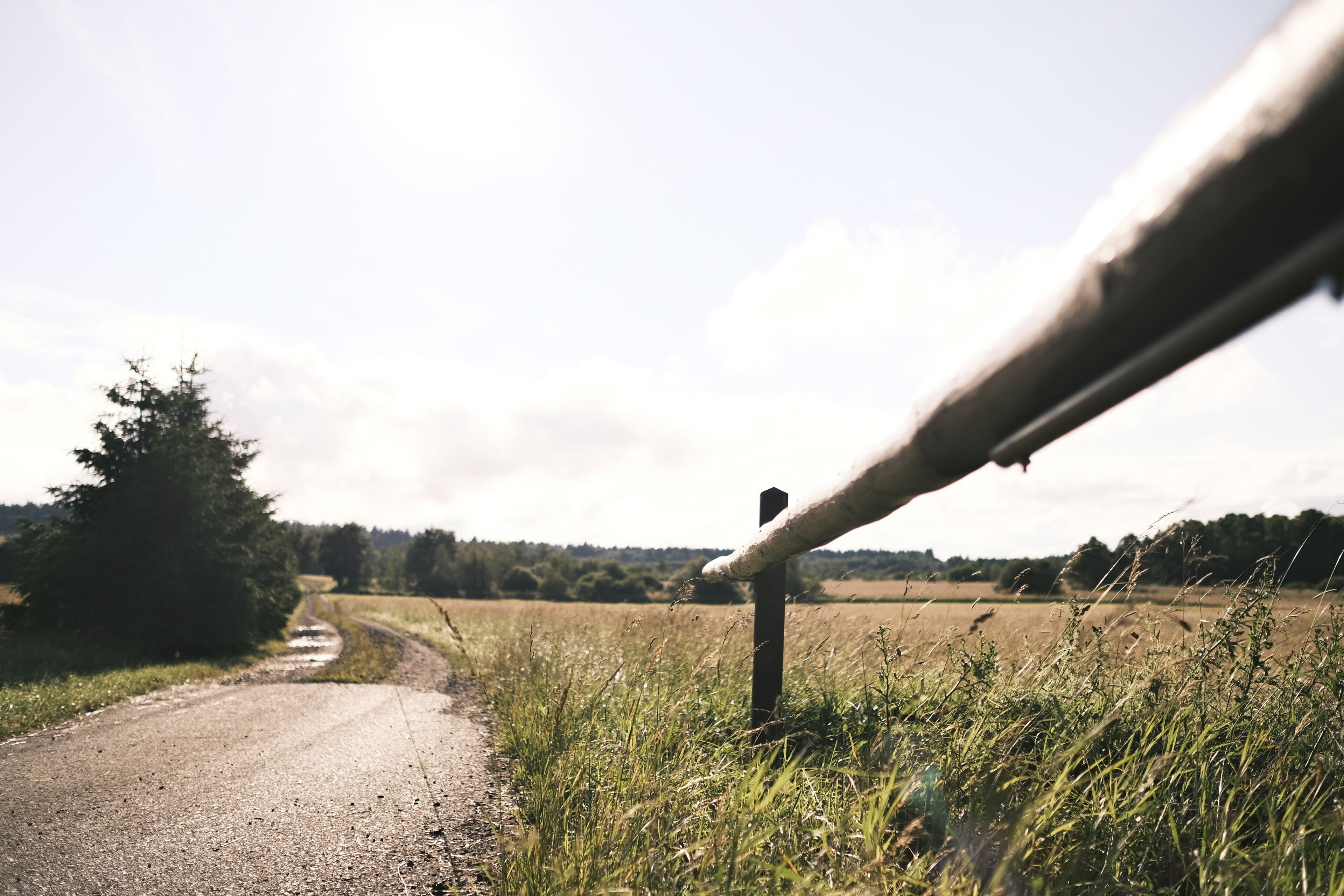 A rural road with a wooden post and a metal pipe, surrounded by grass and trees.