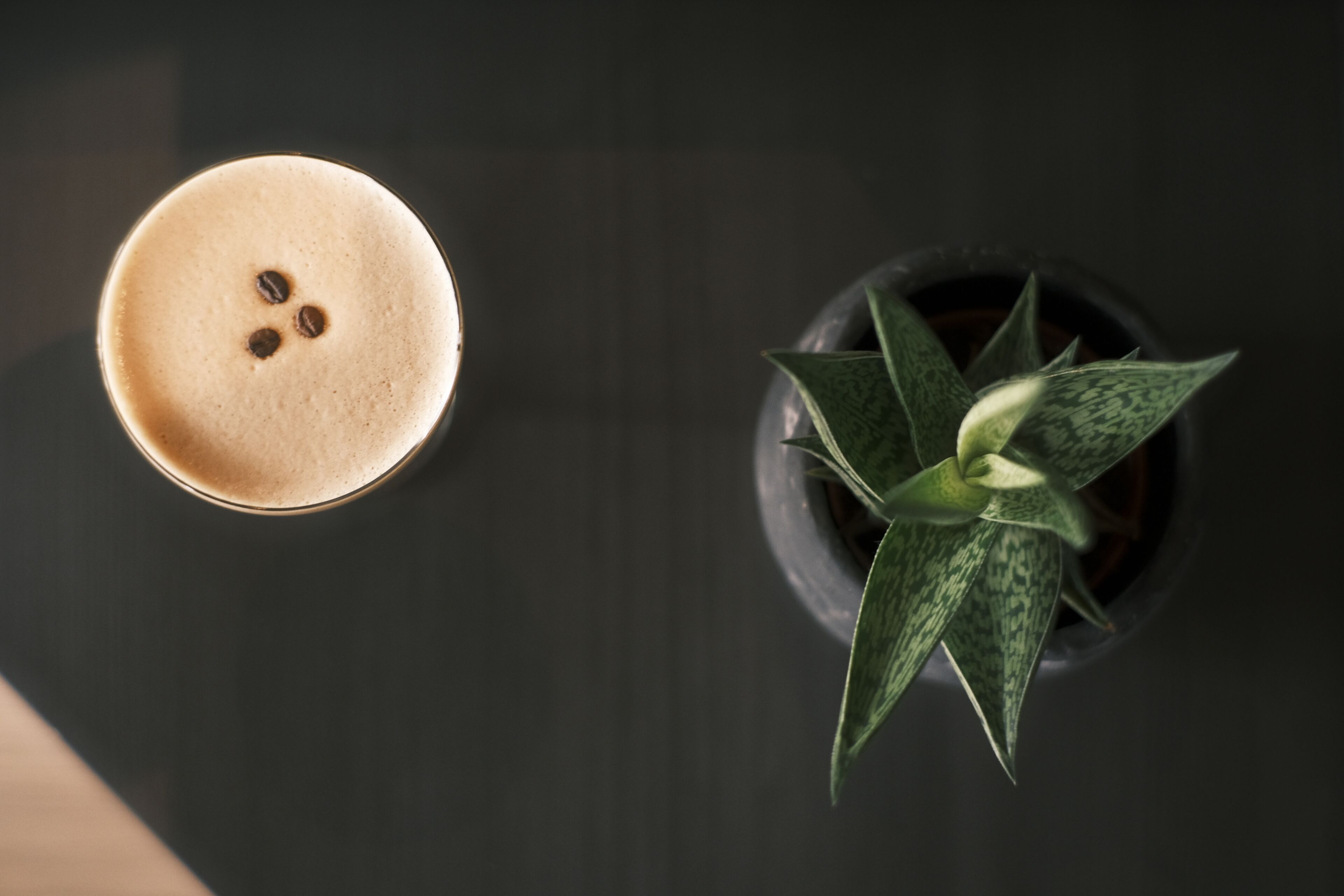 A top-down view of a coffee cup with a frothy surface and a potted plant with green leaves.