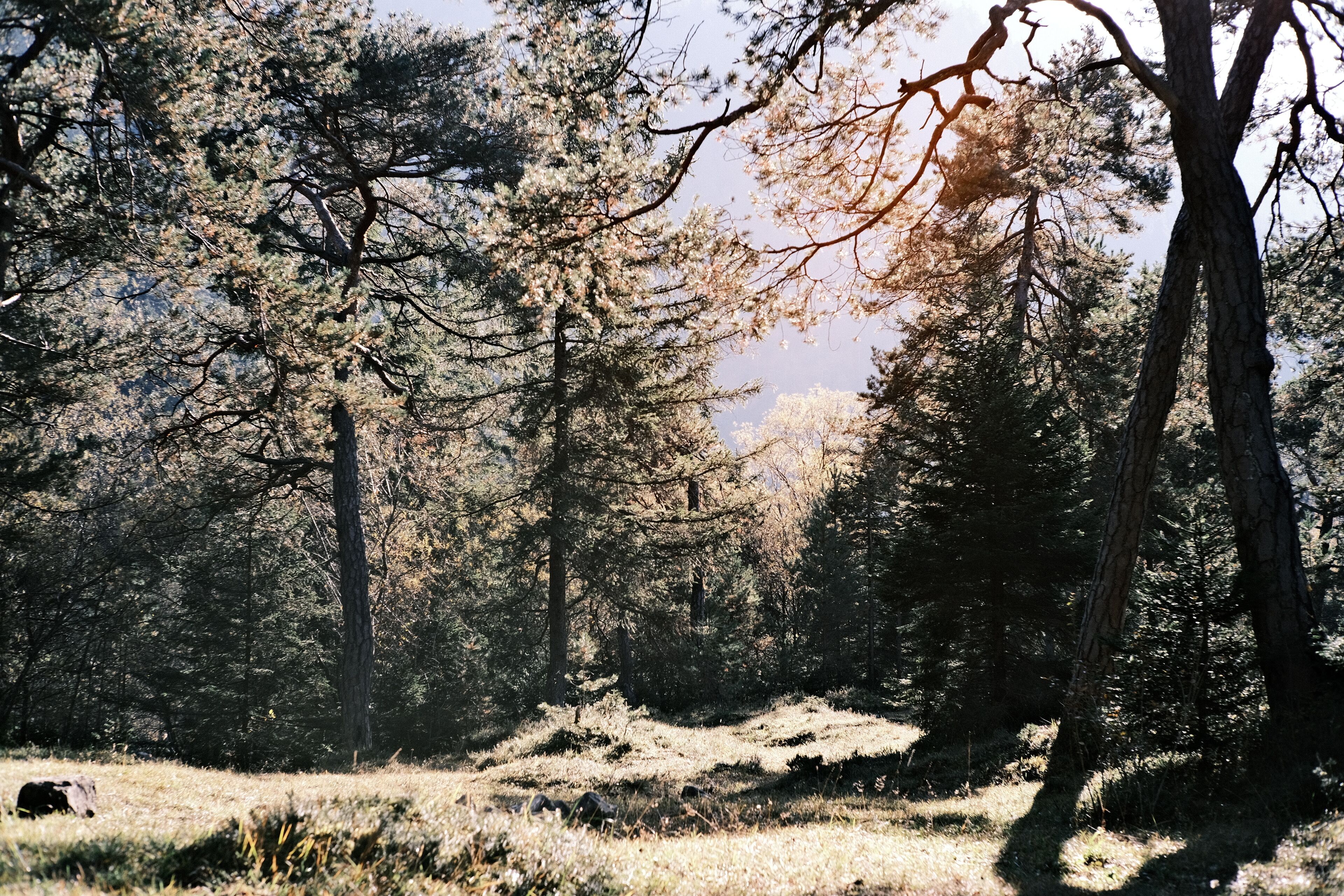 land view from property