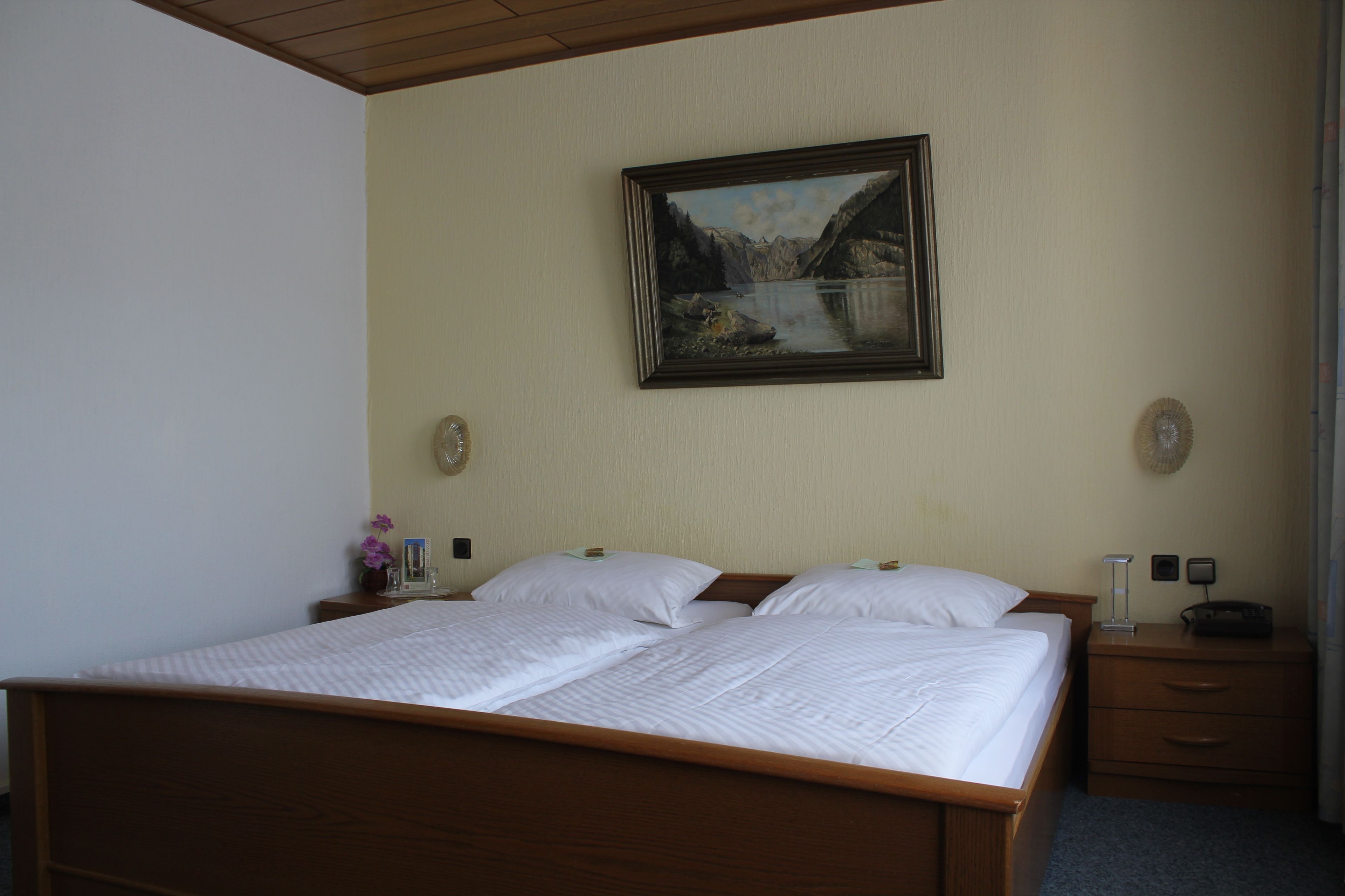 A double bed with white linens, a wooden headboard, a nightstand with a lamp, and a painting of a mountain landscape on the wall.
