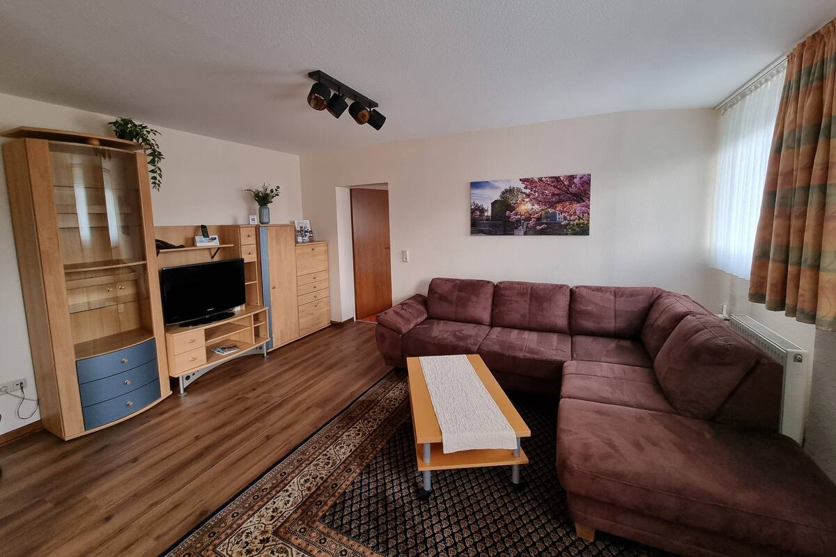 Un salon avec un canapé marron, un meuble de rangement en bois, une télévision et un tapis à motifs.