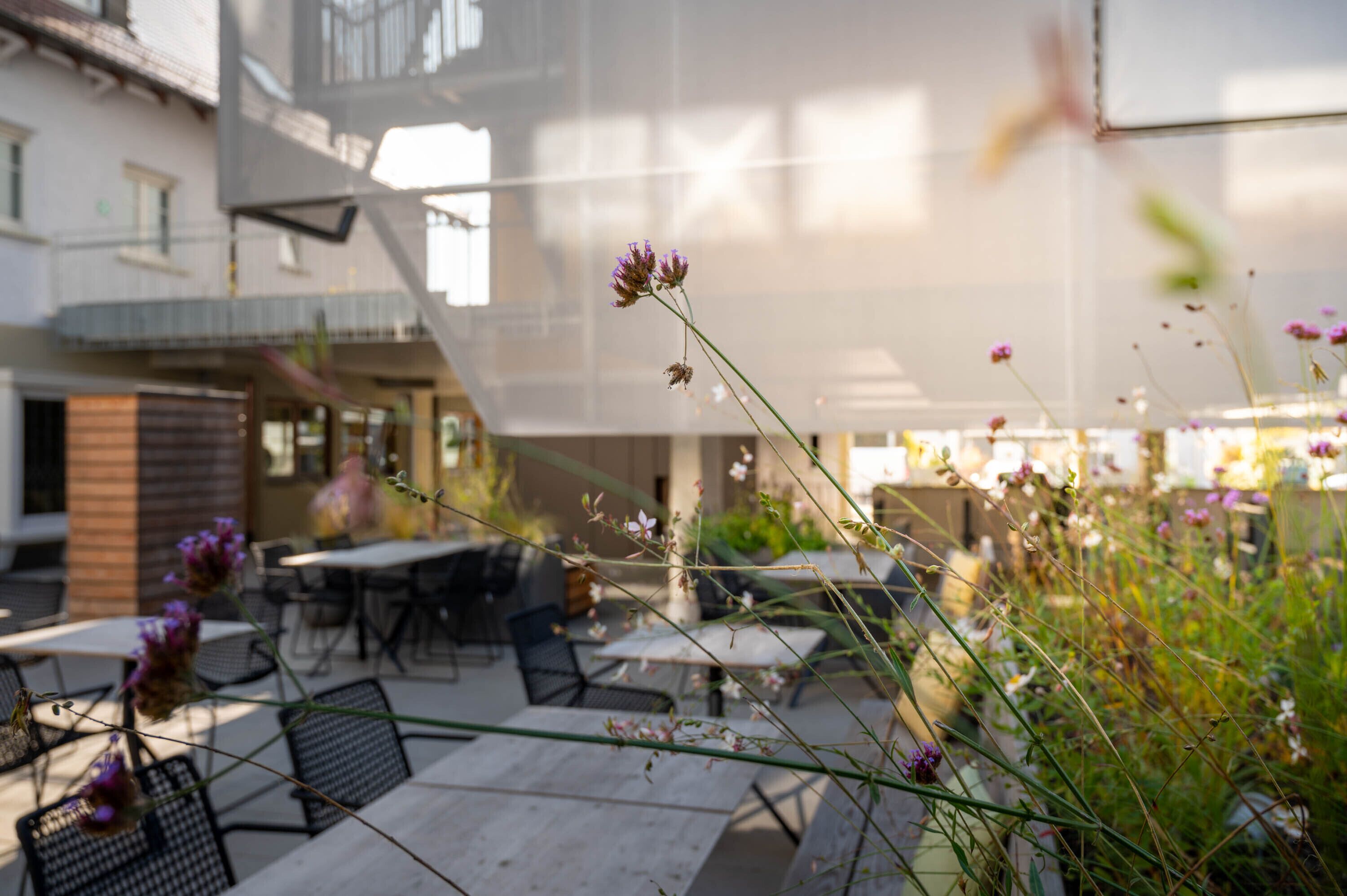 An outdoor patio with tables and chairs, surrounded by greenery and flowers.