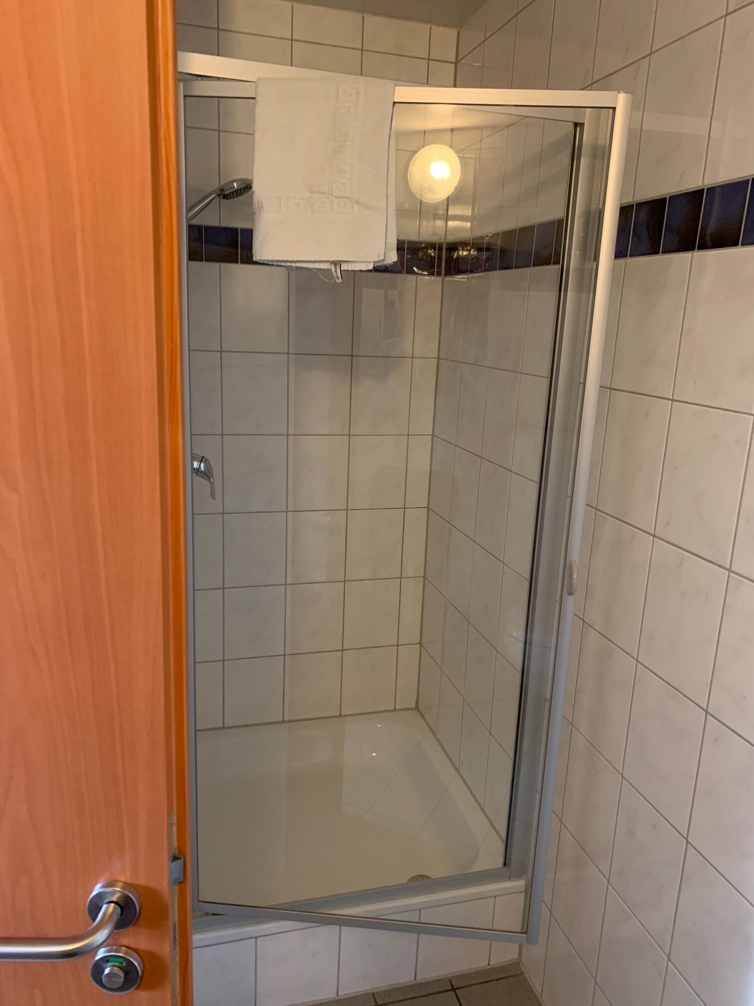 A glass-enclosed shower stall with a handheld showerhead, a towel hanging on the wall, and a visible light fixture.