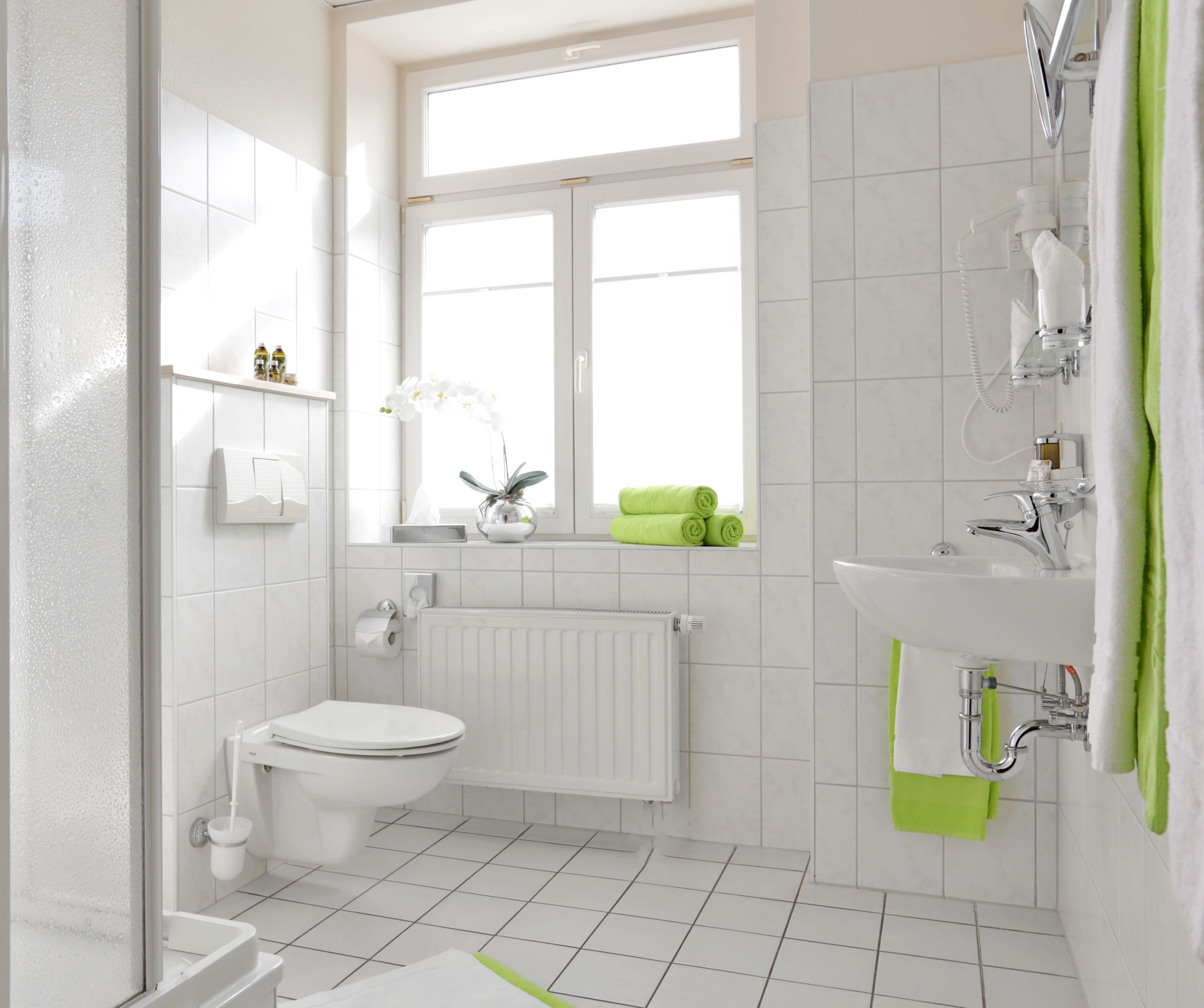 shower, free toiletries, hair dryer, towels