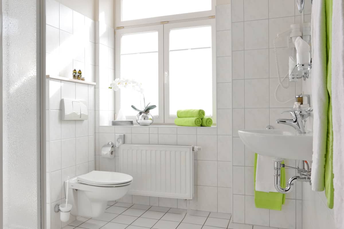 shower, free toiletries, hair dryer, towels