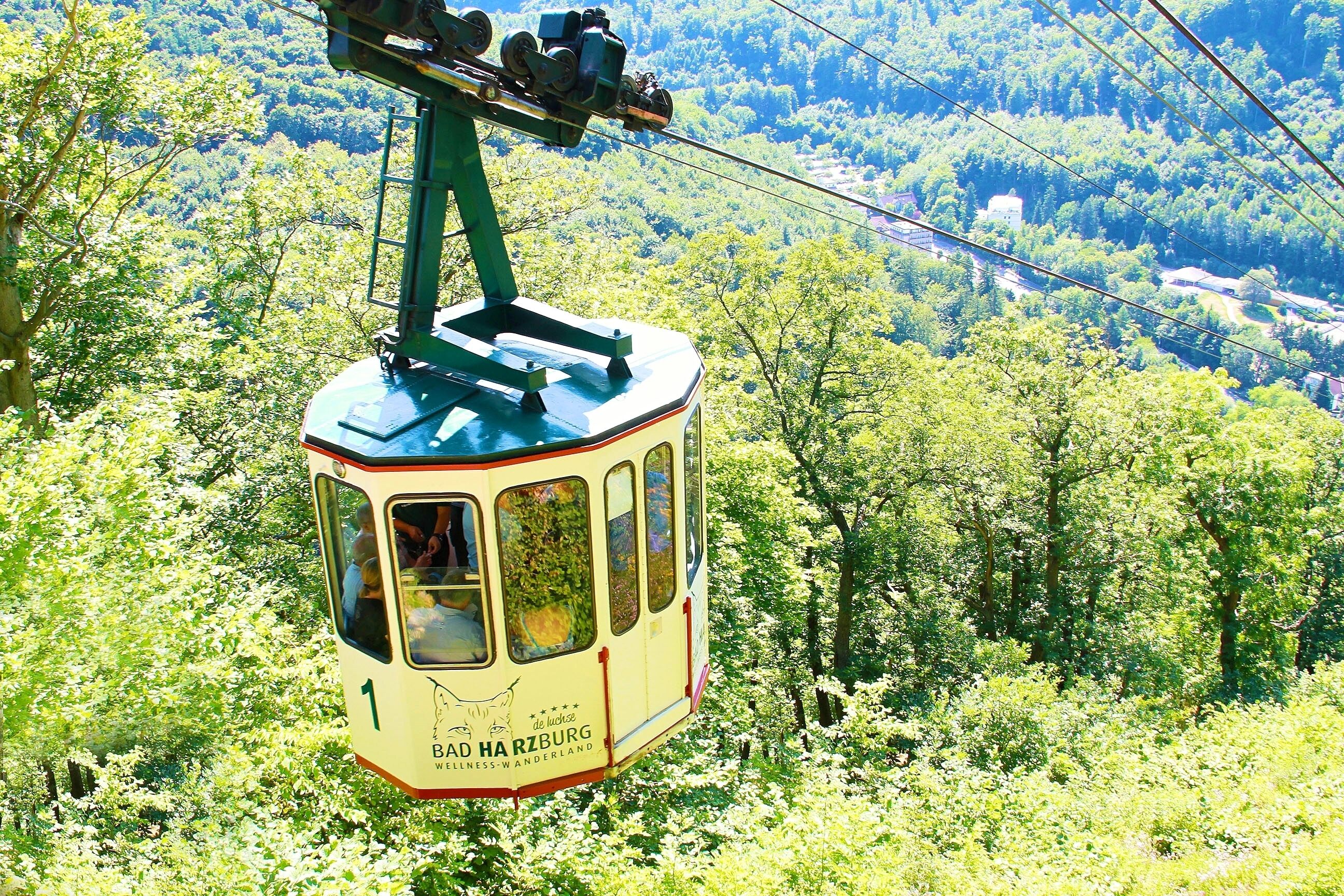 A cable car with a view of a forested landscape.
