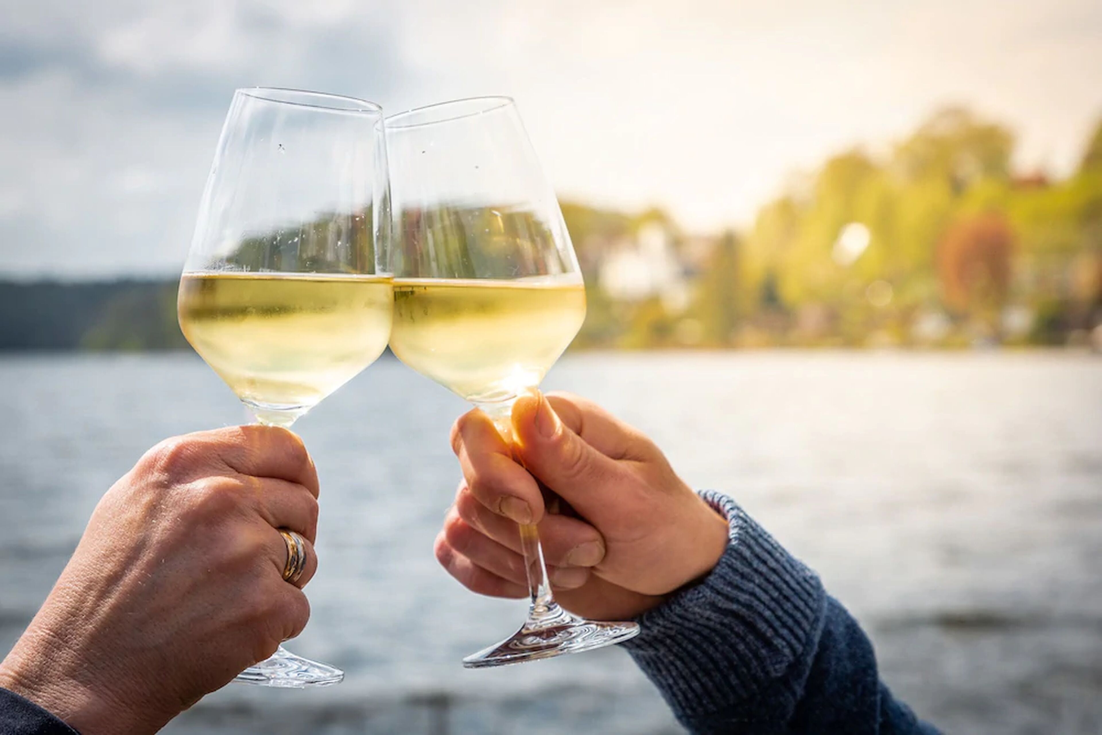 Deux mains tenant des verres à vin, avec un plan d’eau et des arbres en arrière-plan.
