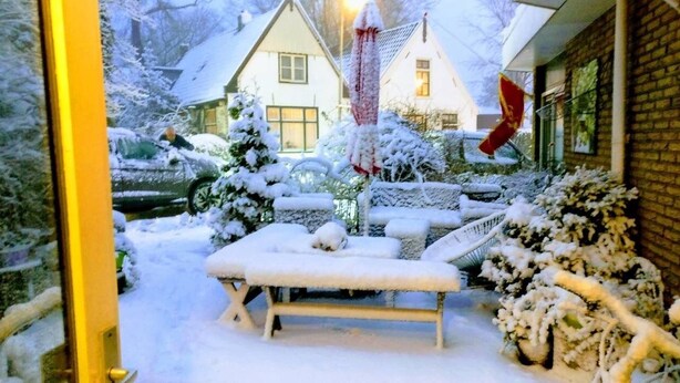 A snow-covered outdoor area with a bench and a chair, surrounded by snow-laden trees and a house in the background. - Hotel De Weyman (Santpoort-Noord)