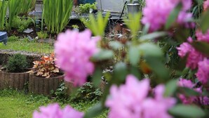 Una casa de dos pisos con un balcón, rodeada de diversas plantas y flores.