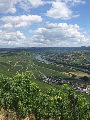 Hiking - Hotel Restaurant Zum Felsenkeller (Sohren)