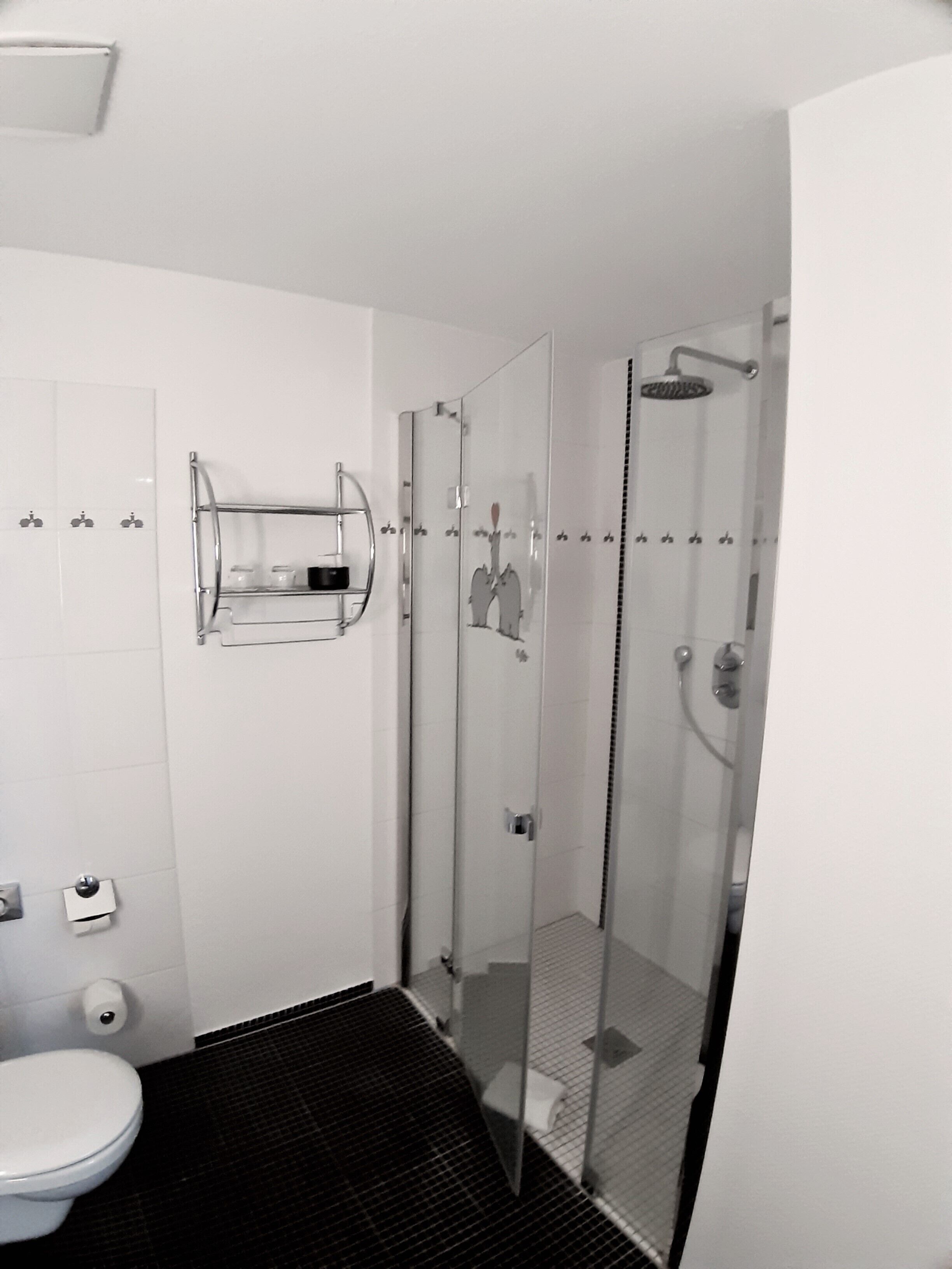 A modern bathroom with a glass-enclosed shower, a toilet, and a towel rack.